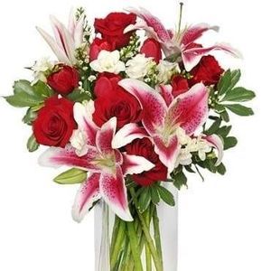 Meet your Posher, Natasha